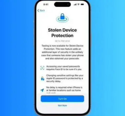 江陵苹果授权维修店分享被盗设备保护功能开启方法