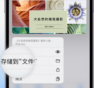 江陵apple维修中心分享iPhone文件应用中存储和找到下载文件