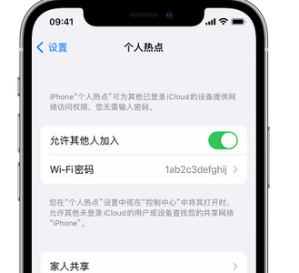 江陵apple服务站点分享iPhone上个人热点丢失了怎么办