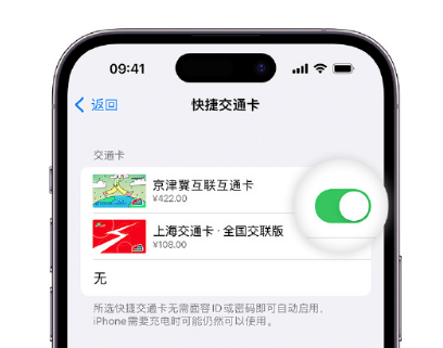 江陵apple维修点分享iPhone上更换Apple Pay快捷交通卡手绘卡面 