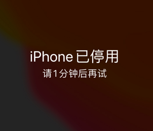 江陵苹果手机维修分享:iPhone 显示“不可用”或“已停用”怎么办？还能保留数据吗？ 