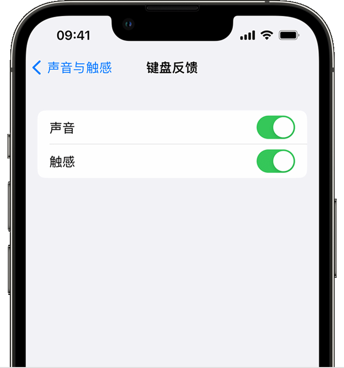 江陵苹果14维修店分享如何在 iPhone 14 机型中使用触感键盘 