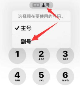 江陵苹果14维修店分享iPhone 14 Pro Max使用副卡打电话的方法 