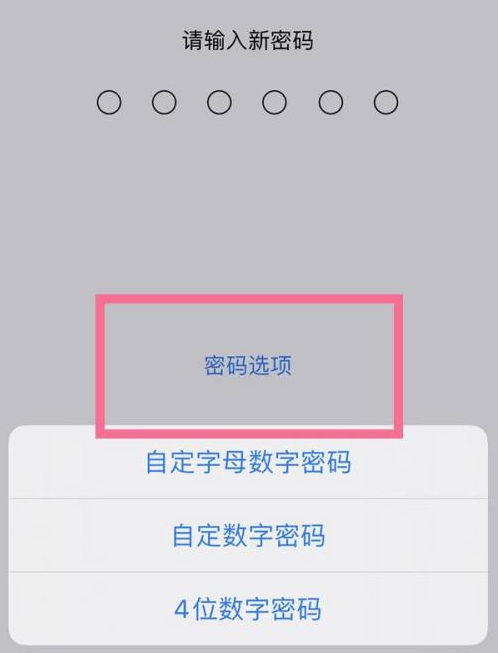 江陵苹果14维修分享iPhone 14plus设置密码的方法 