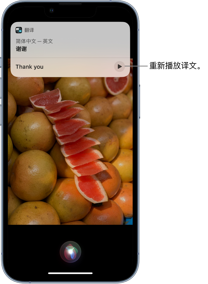 江陵苹果14维修分享 iPhone 14 机型中使用 Siri：了解 Siri 能帮你做什么 