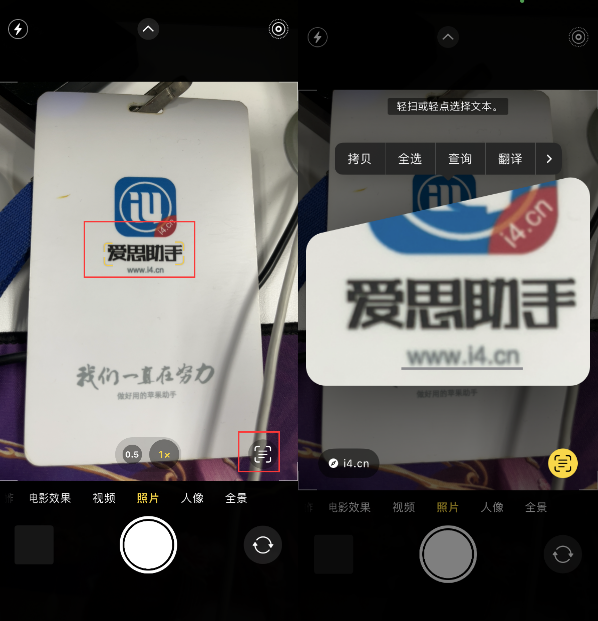 江陵苹果手机维修分享升级iOS 16后如何通过相机翻译文本 