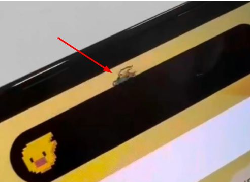 江陵苹果14维修分享iPhone 14 Pro Max灵动岛怎么养宠物 
