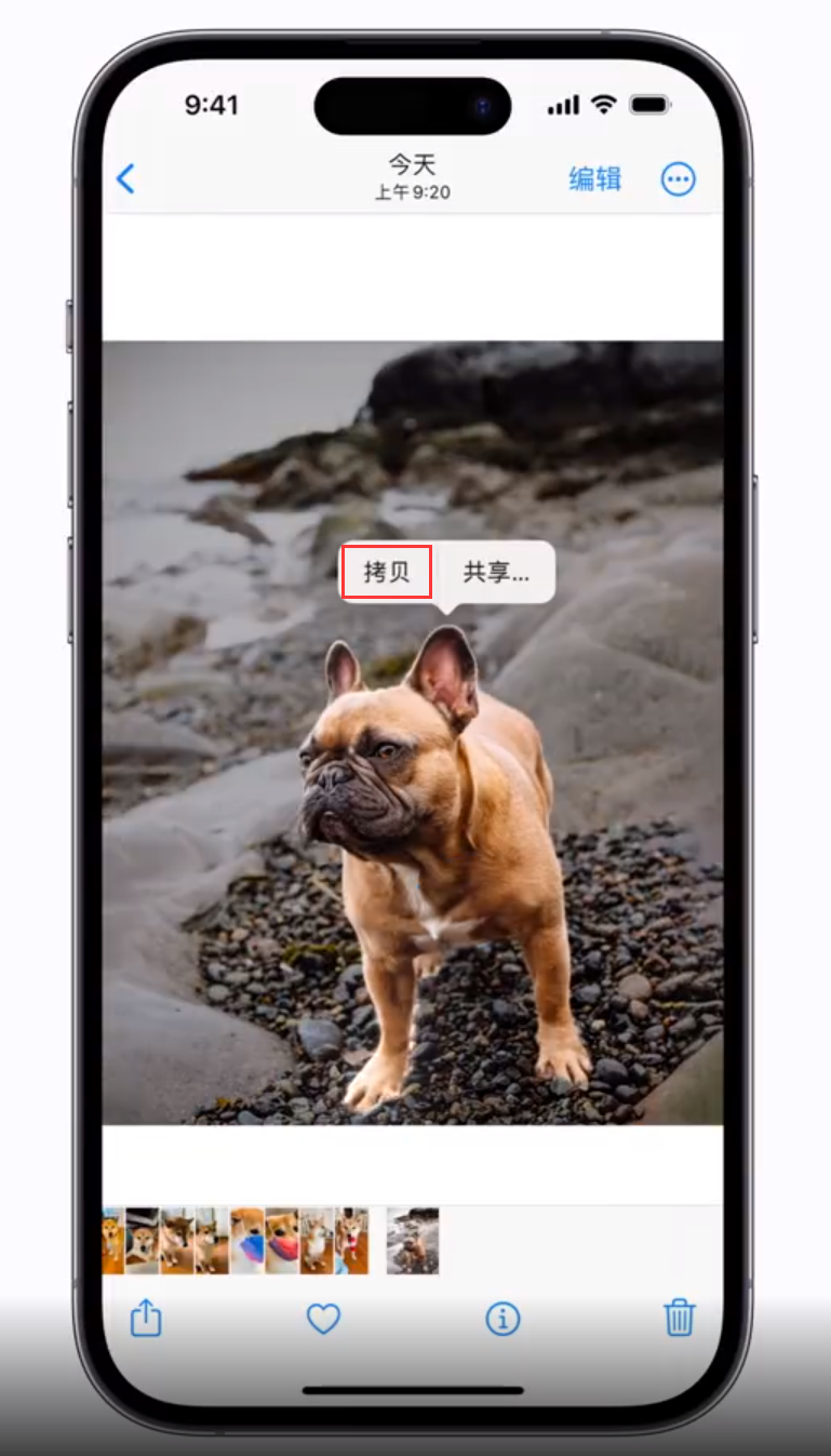 江陵苹果手机维修分享 iOS 16 自带一键抠图功能 