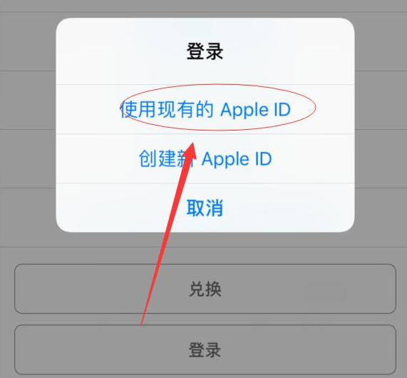 江陵苹果手机维修分享两台iPhone设备可以同时登录一个Apple ID吗 