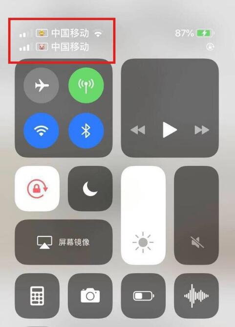 江陵苹果手机维修分享为 iPhone 12 双卡设置标签 