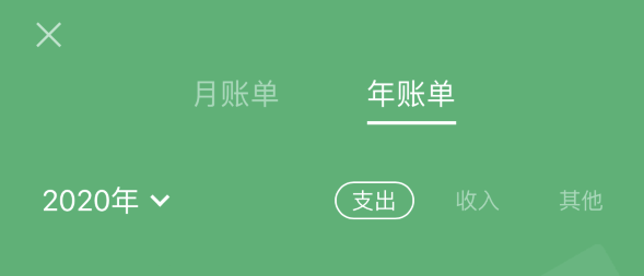 江陵苹果手机维修分享如何在 iPhone 上查看支付宝和微信年支出账单 